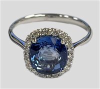 Anello Gazzola Gioielli Donna in Oro bianco Zaffiro blu AN-CUSH-1-13-Z-CUSH-N9X8-G-SI